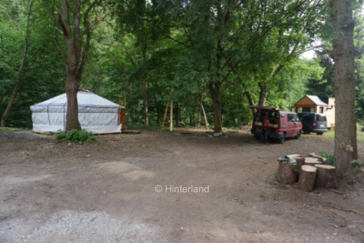 Idyllic pitch by the river in the Harz mountain forest