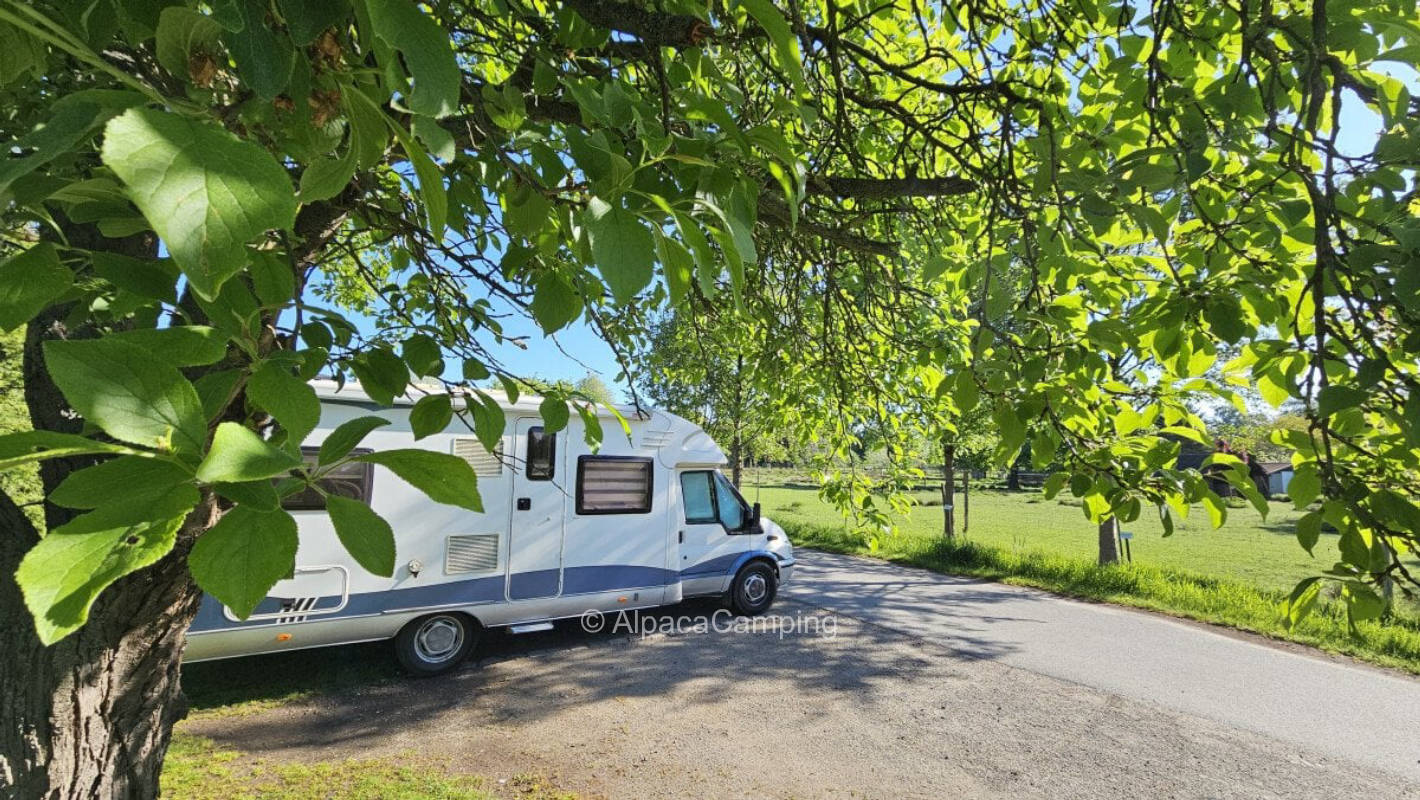 "Pure nature and a glass of wine" #1