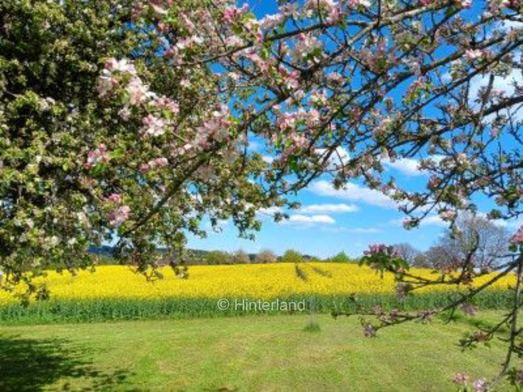 Ruhiger Baumwiesen- Übernachtungsplatz für Camper