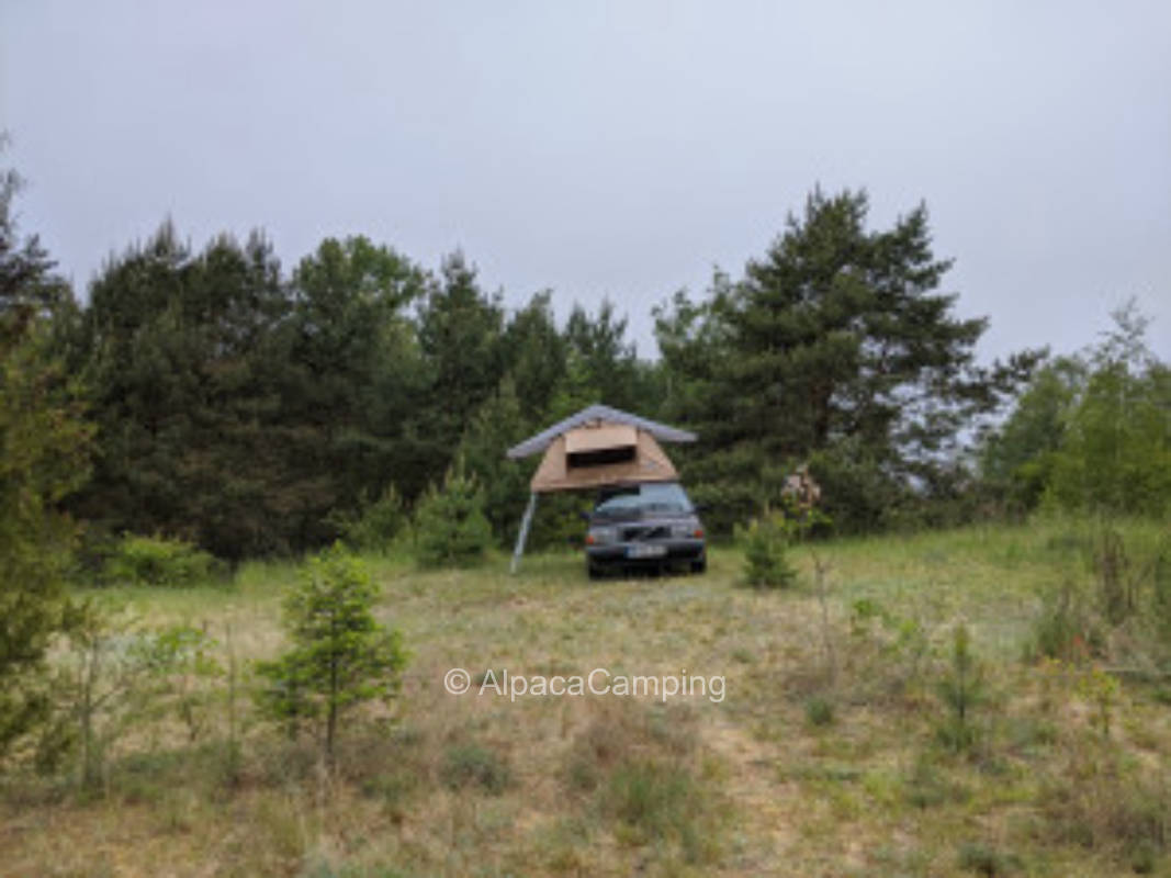 Wild meadow at the Oderbruch