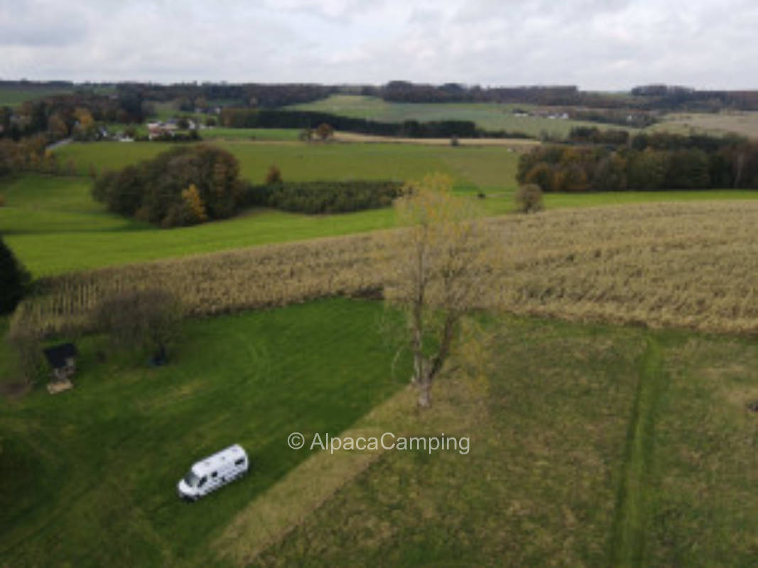 Resettlement farm #3