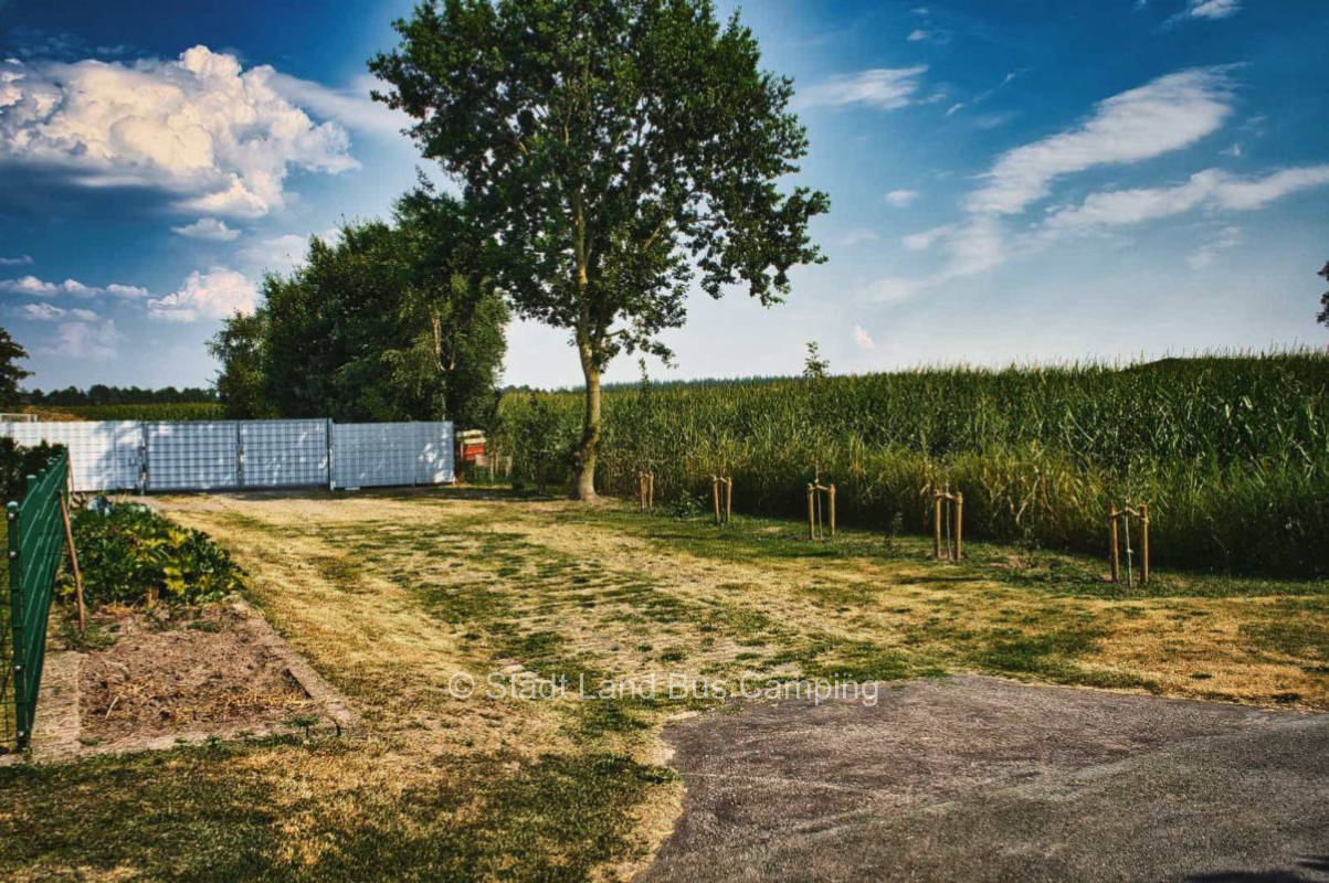 Stammermann – Am Graben 3