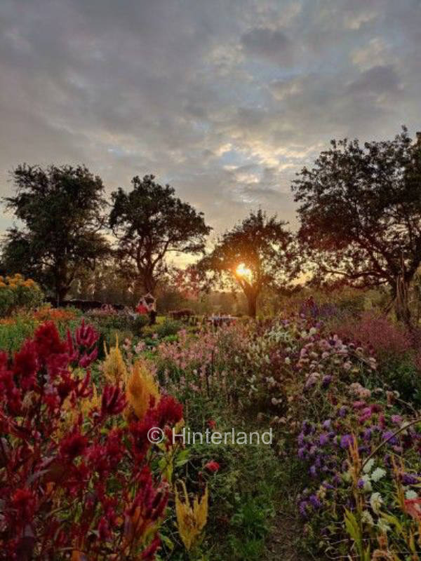 Camping für Gartenliebhaber im Voralpenland