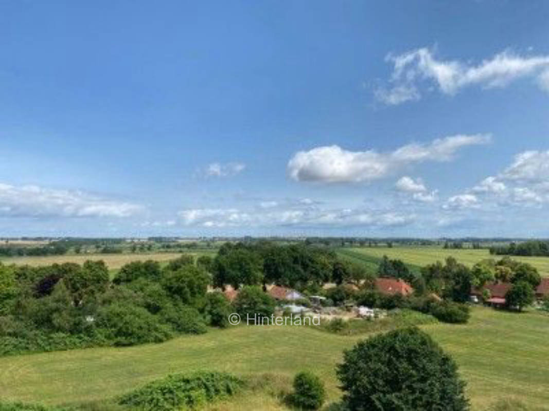 Idyllische Gutshofwiese 