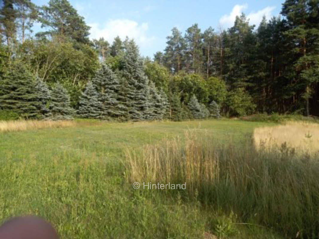 Naturydill Elbe- Elster