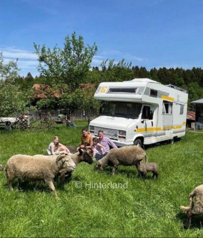Idylle pur auf der Wiese neben den Schafen