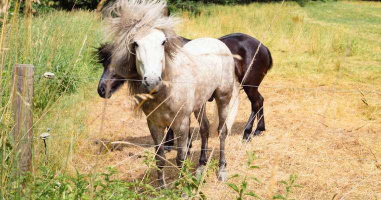 Veivl.Land