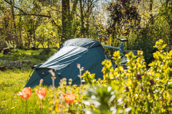 Pitch in the Klosterhofgarten for Campers & Tents (Campspace 4462)