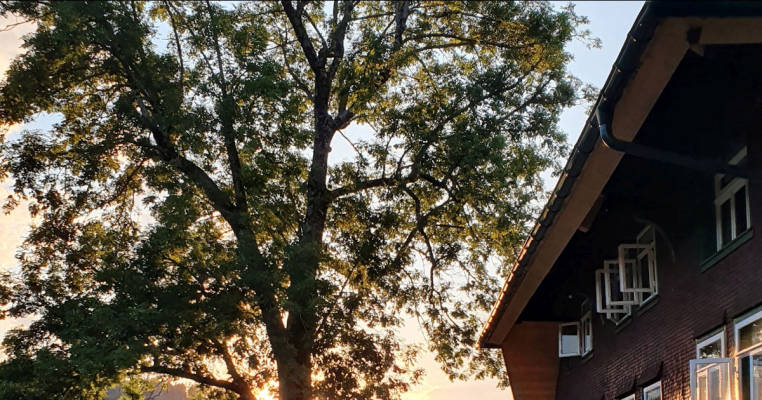 Black Forest pure: Secluded location with wonderful views