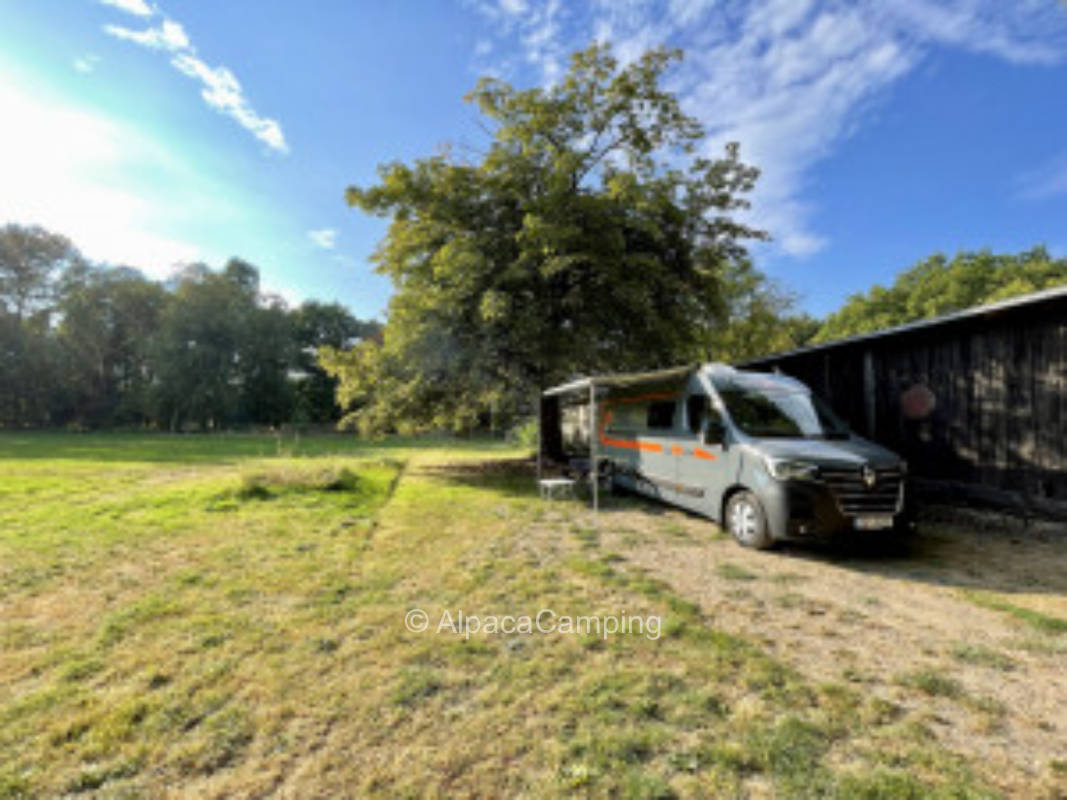 Camping at the Böhmewiese