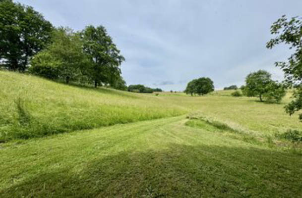 Camping pitch in the green