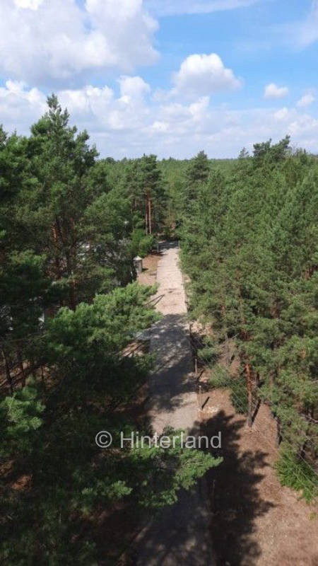 Waldcamp - Alleinlage im Wald & Lost-Place-Feeling