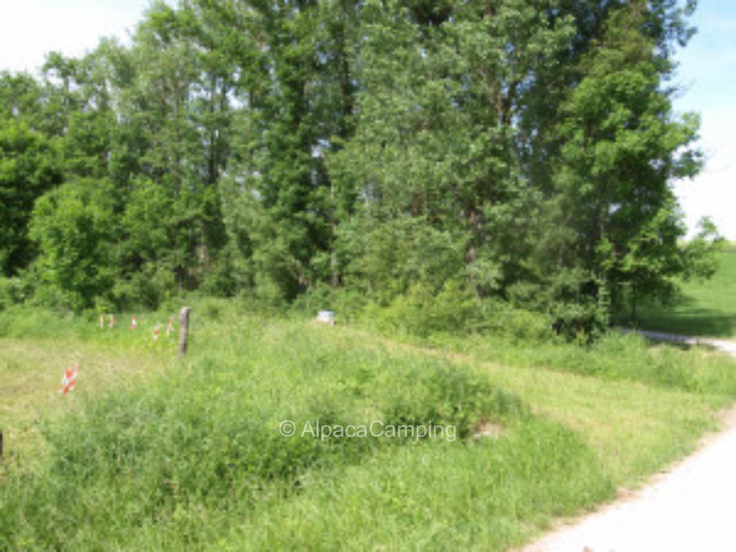 Under trees, in a wilderness, right by the stream #1