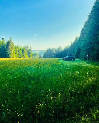 Natural camping in the Black Forest in a secluded setting