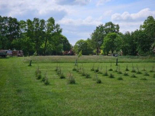 Rustikales Wiesencamping mit grüner Aussicht 