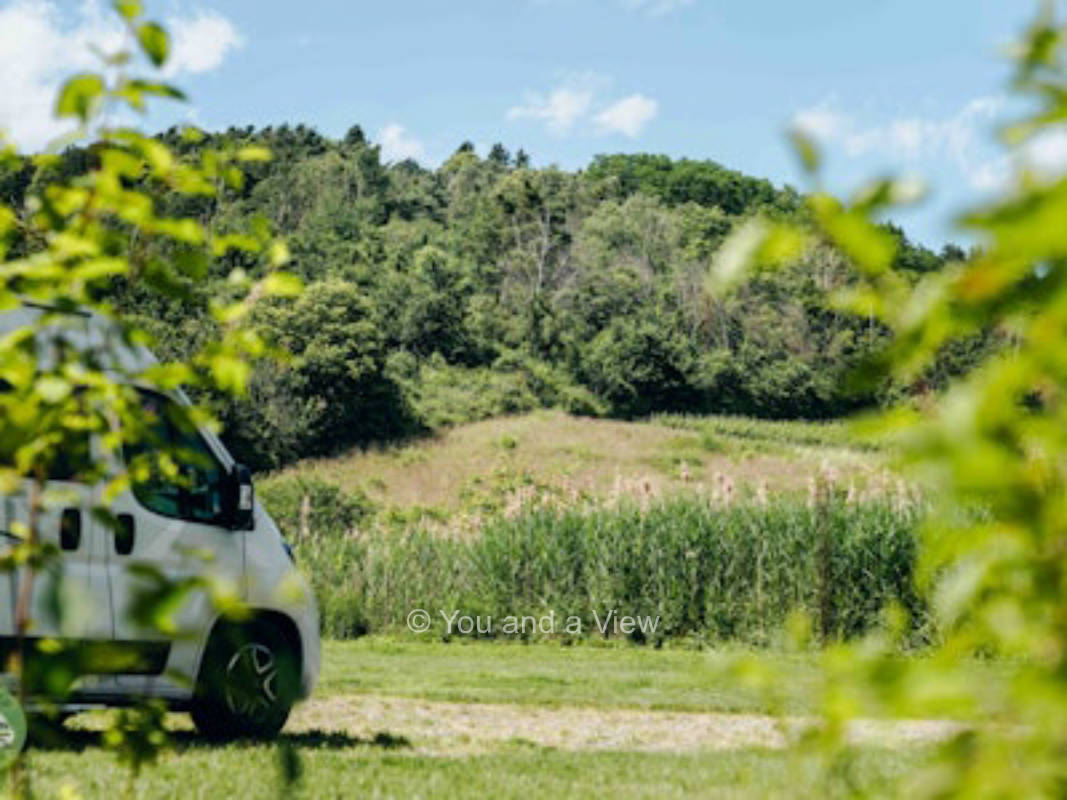 Am Rande des Vogelschutzgebietes auf dem Weingut, privater Stellplatz