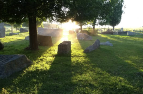 Camping im Skulpturenpark