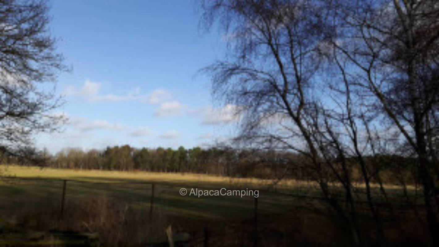 Just outside Wahrenholz #2