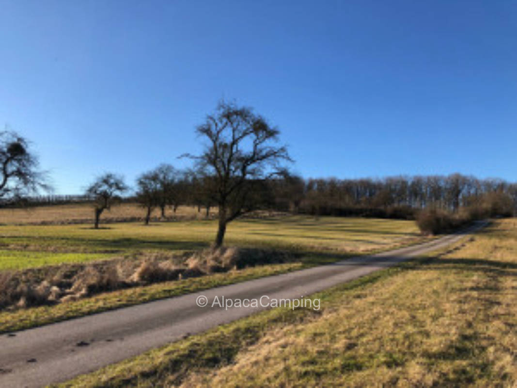 Below the vineyard #1