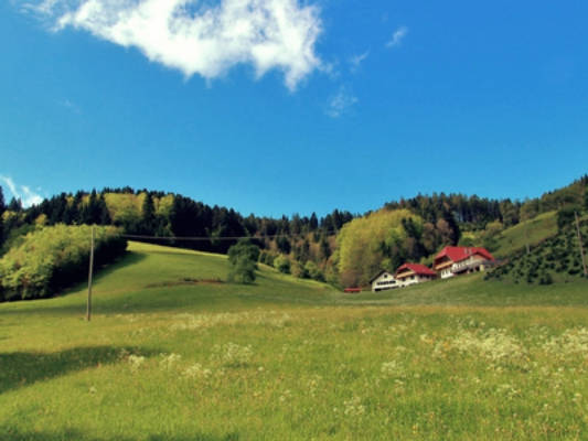 Stinneshof