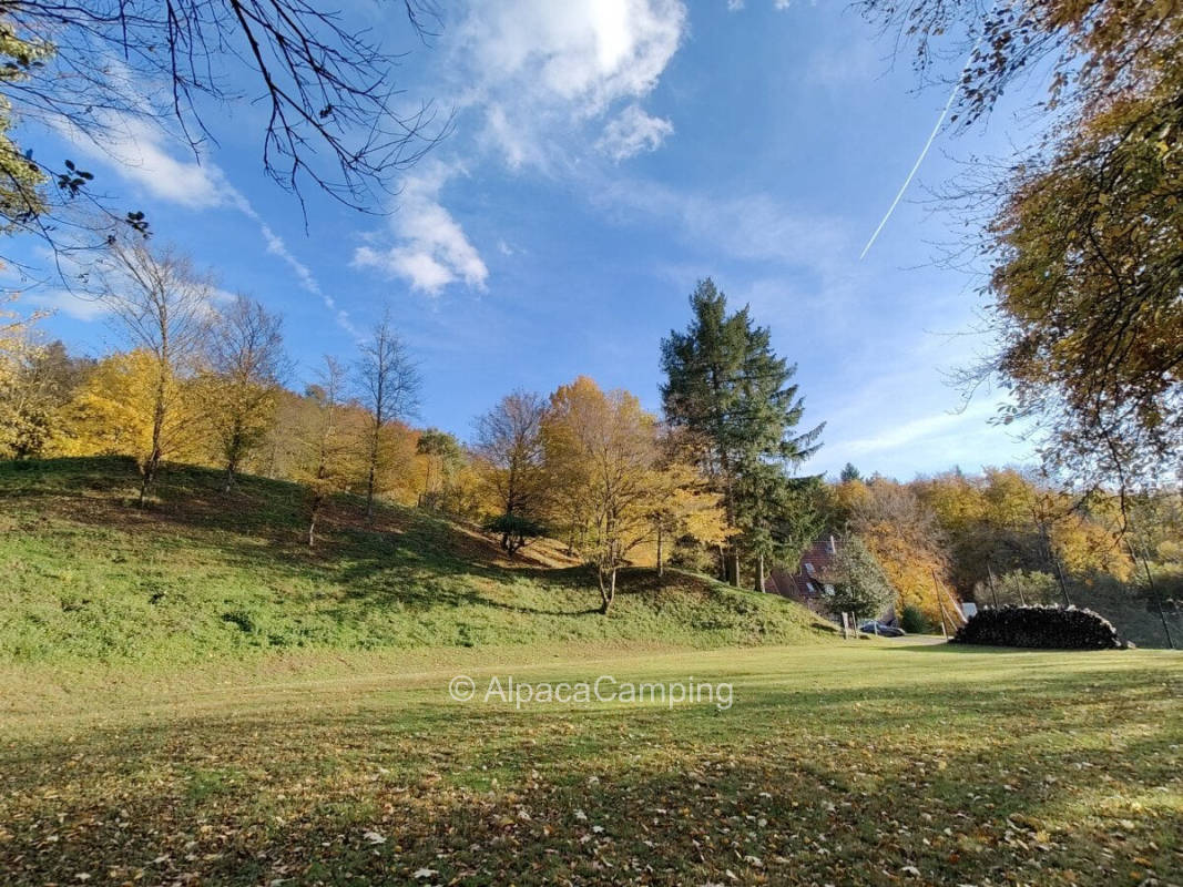 AlpacaCamping 1709