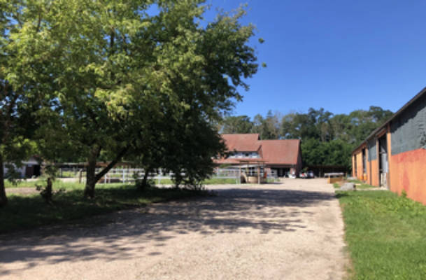 Camping directly at the farm