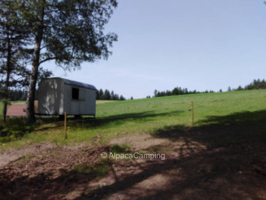 On the field with a view of the cow pasture