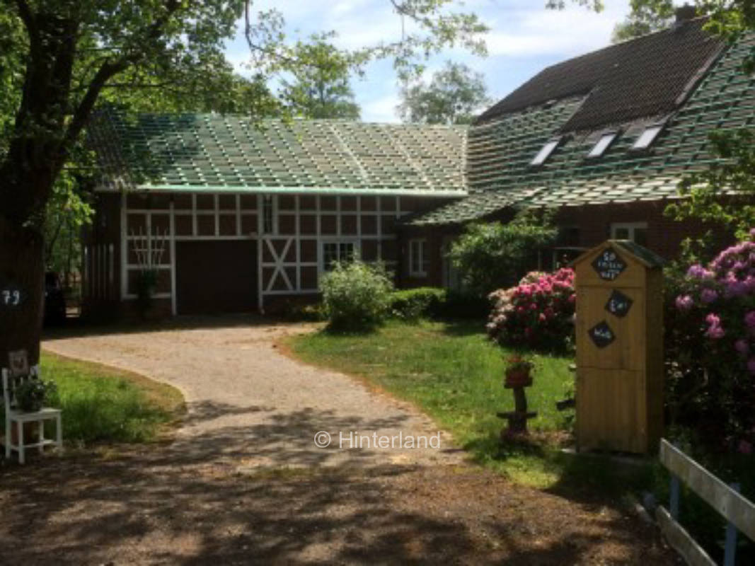 Cuxland - Schafe, Galloways und Moor