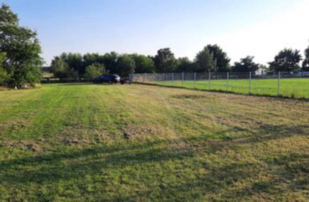 Beautiful meadow in the garden near the lake
