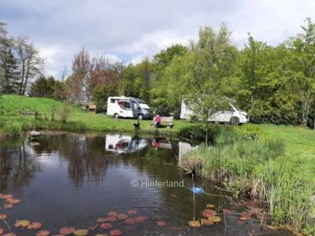 Spend the night in my garden by the pond