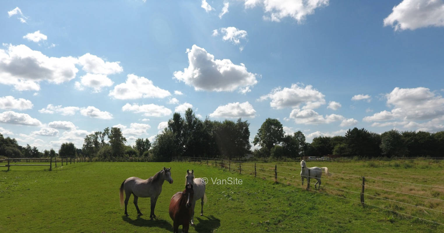 Stellplatz in Alleinlage - Natur pur - *Stars & Garden*