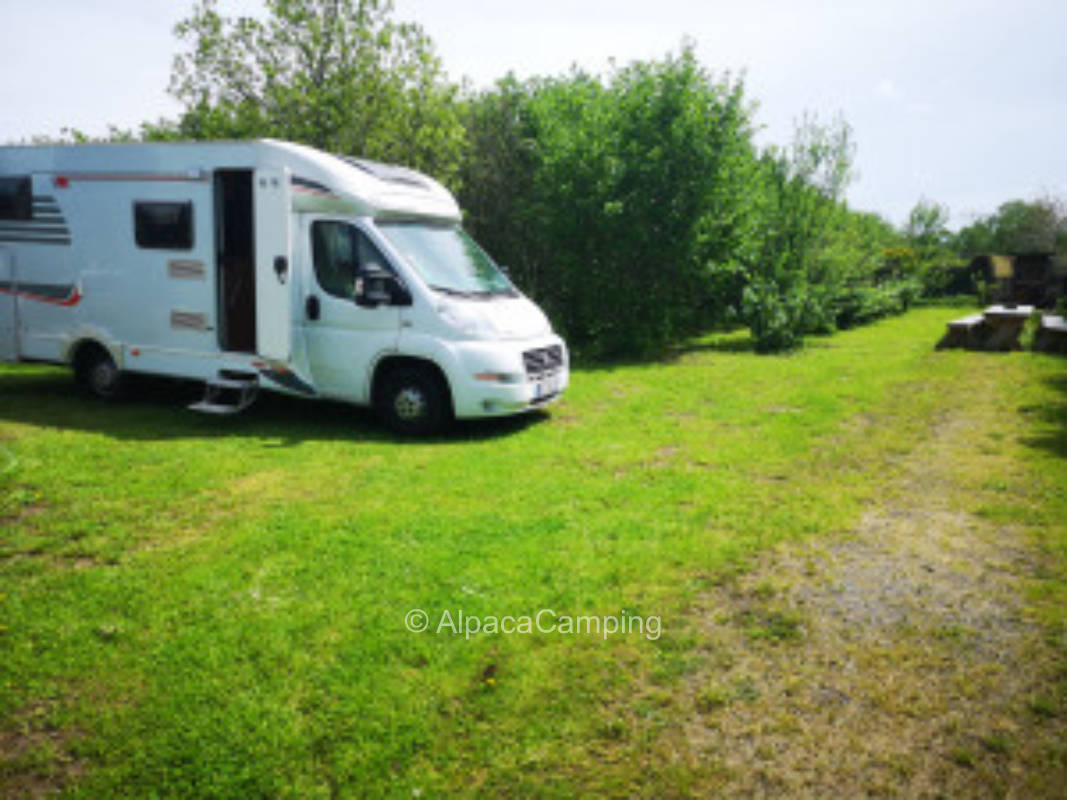 Pitch on Saxony's First Truffle Plantation #3