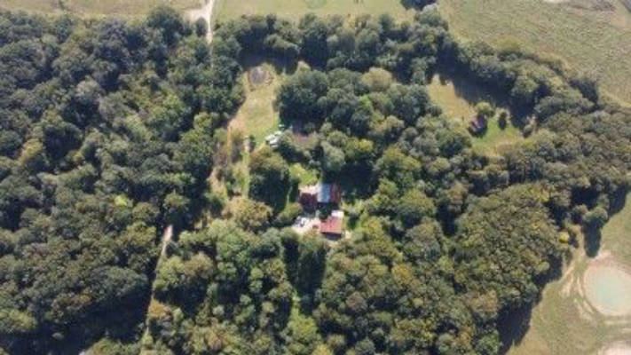 Campen auf der Obstwiese im alten Bauernwald
