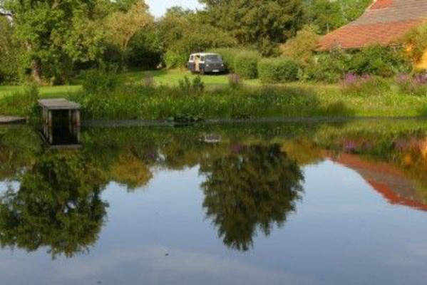 Froschkonzert und Vogelgezwitscher am Teich 