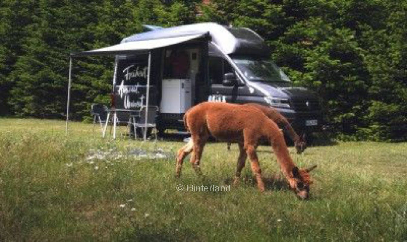 Alpaka Camping auf dem Bauernhof 