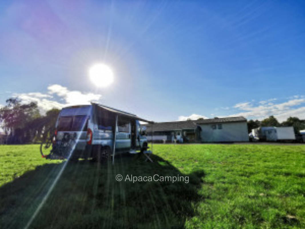 On the well-kept alpaca ranch with an adventure farm #1