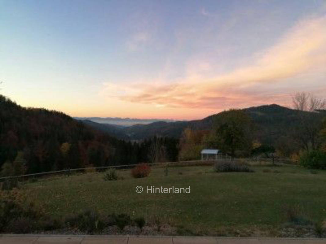 Rocky Sunshine Ranch