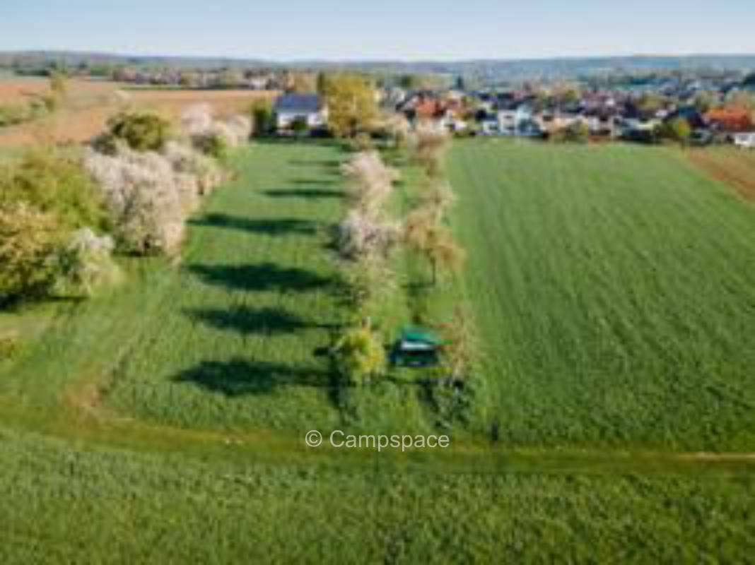 Schöne Streuobstwiese im Odenwald bei Heidelberg