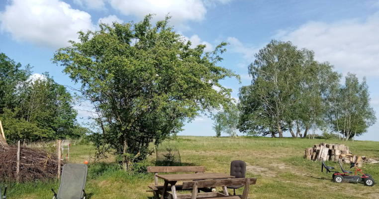 Meadow on the edge of field
