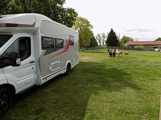 Platztyp für 4 Personen (Campspace 26197)