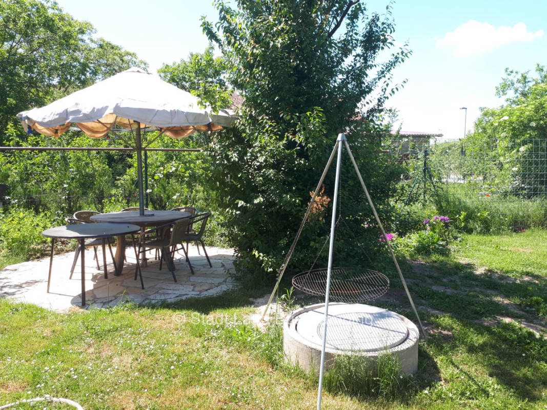 Meadow by swimming pond three