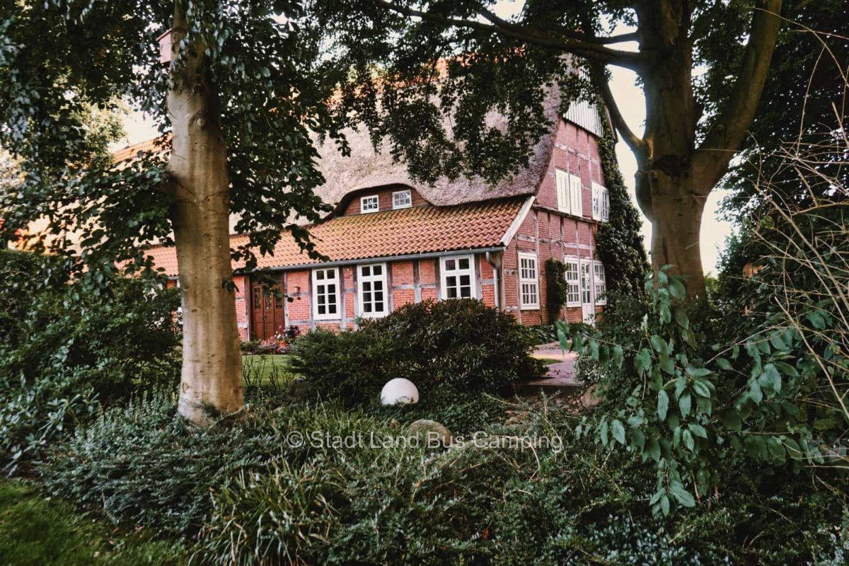 Abendroth - flowering meadow
