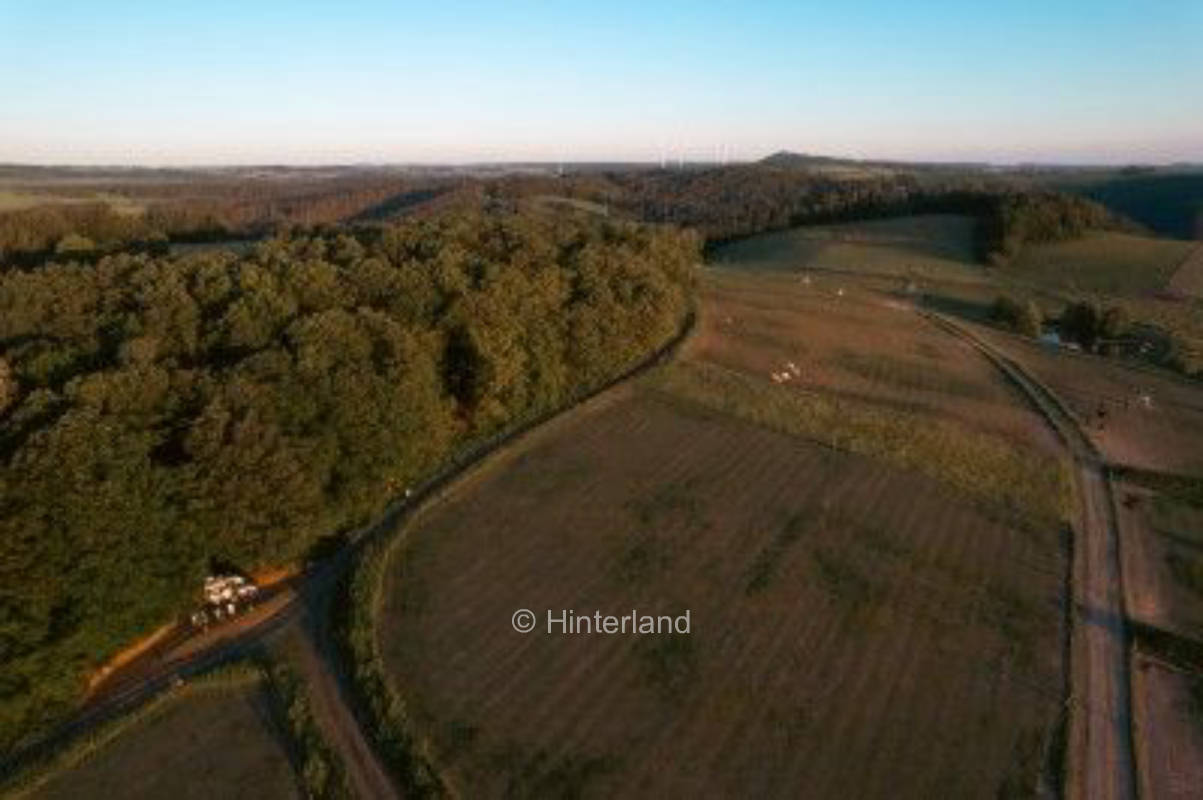 An der Weide mit Weitblick zum Elbsandsteingebirge