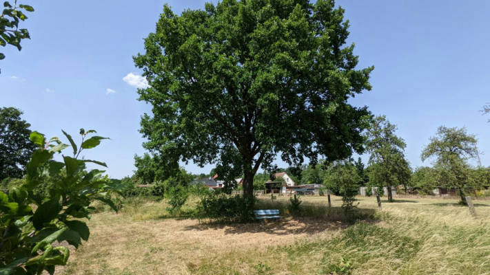 Sommerlaune erlebe die milchstrase