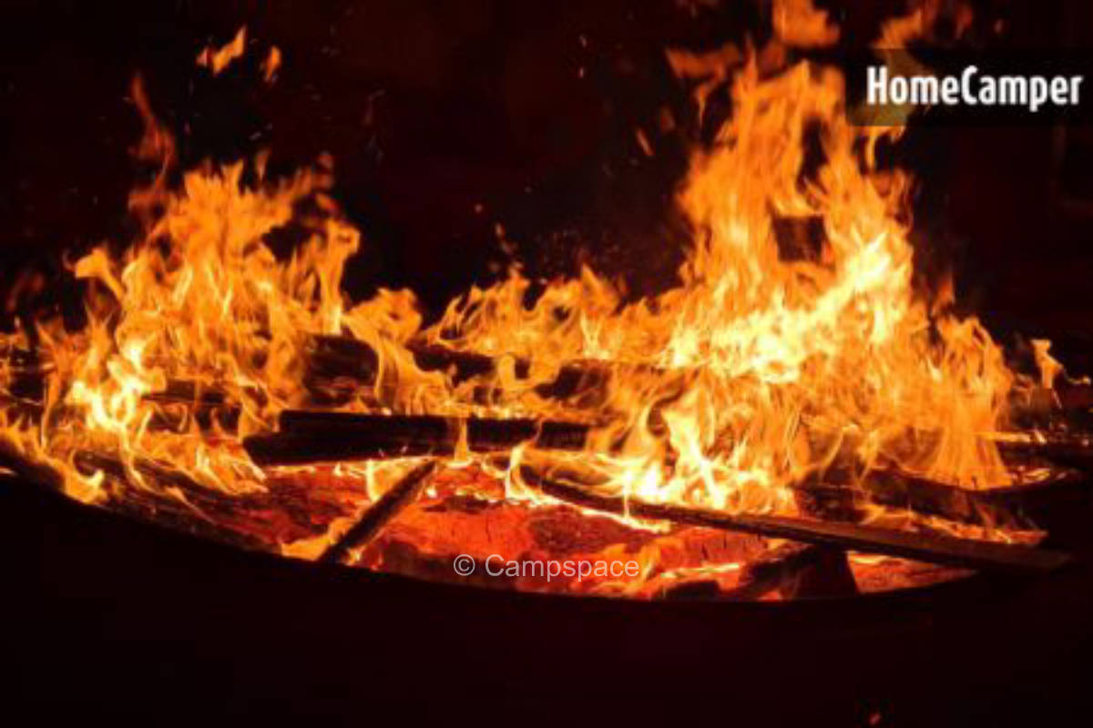 An der großen Tanne. In München und trotzdem mitten im Nirgendwo