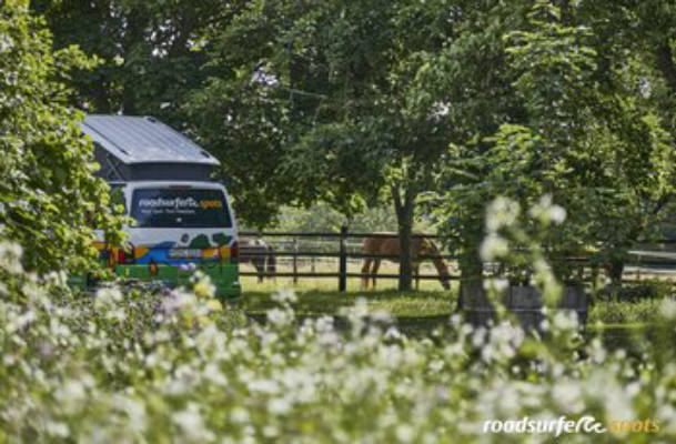 In der Natur am Rande der Baumberge