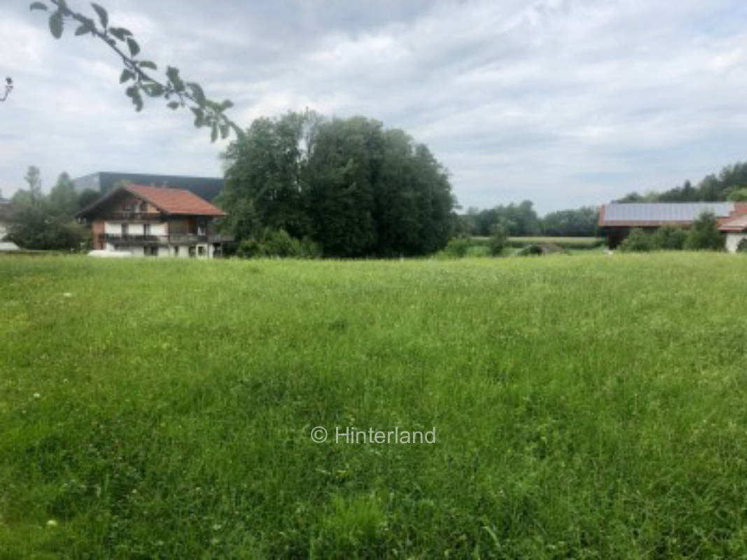 Natural meadow in small village Kammer