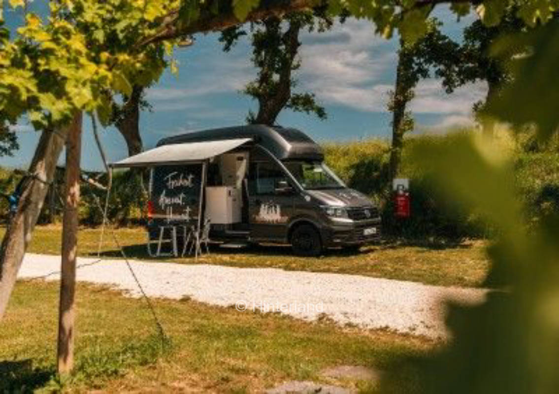 Piazzole nel vigneto