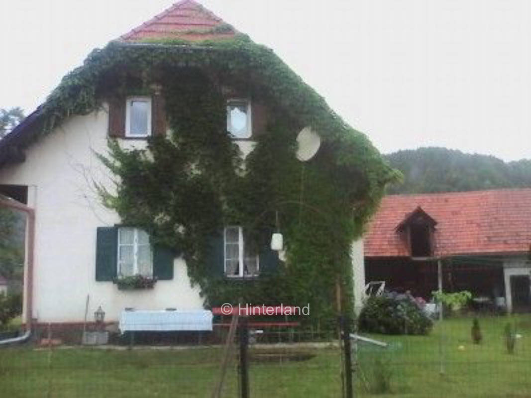 Hundefreundlicher Stellplatz auf altem Bauernhof