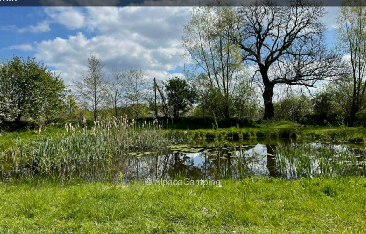 At the orchard